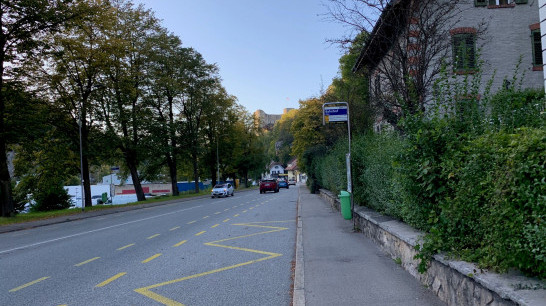 Kanton Solothurn, Beurteilung Bushaltestellen nach BehiG