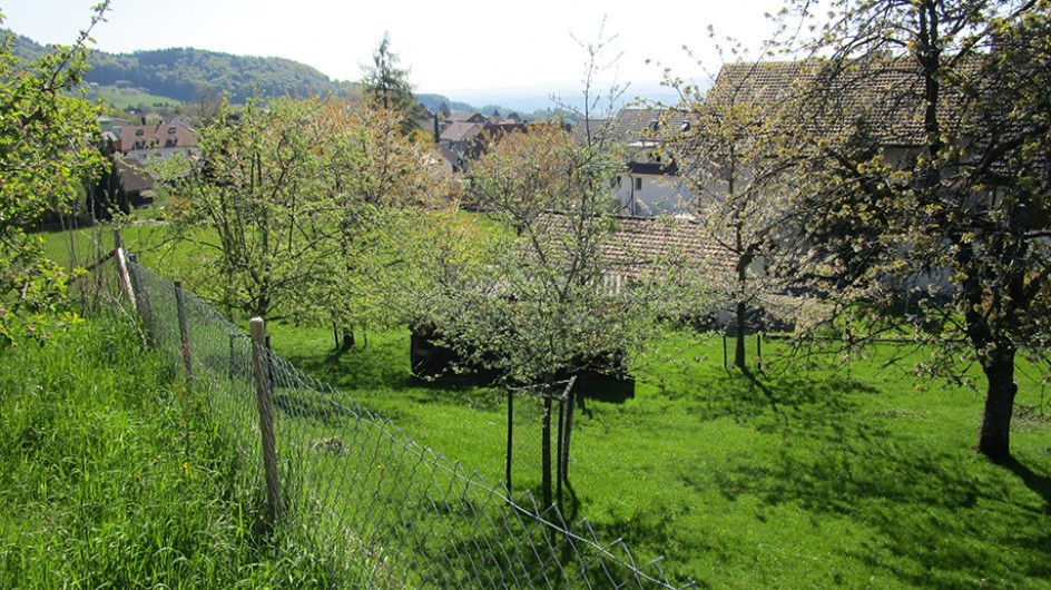 Günsberg