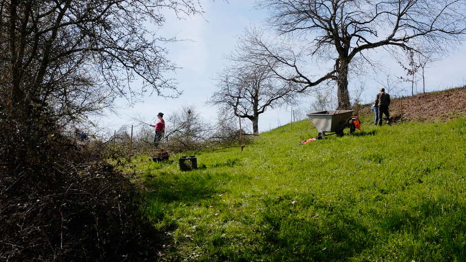 Gehölz- und Wildheckenpflege in Bibern