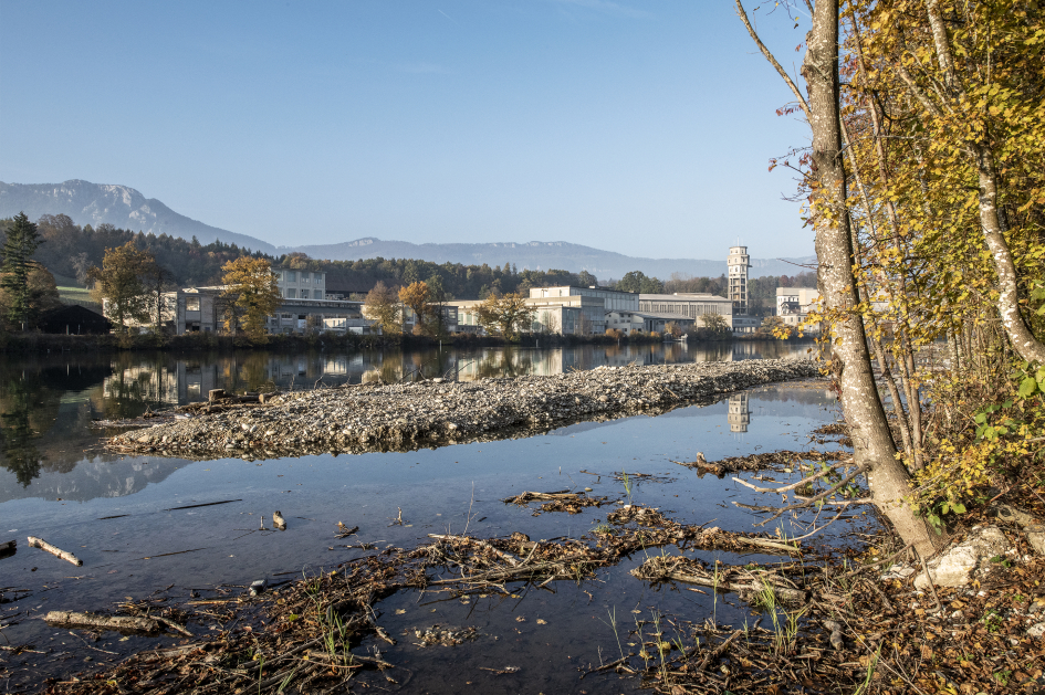 Renaturierung an der Aare