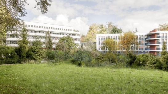 Bern, Umbau und Ersatzneubau Pflegezentrum Tilia Elfenau 
