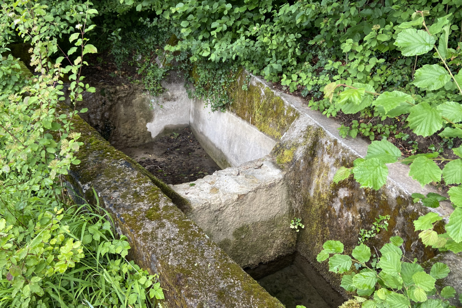 Sandfang mit Rechen beim Weidlibach