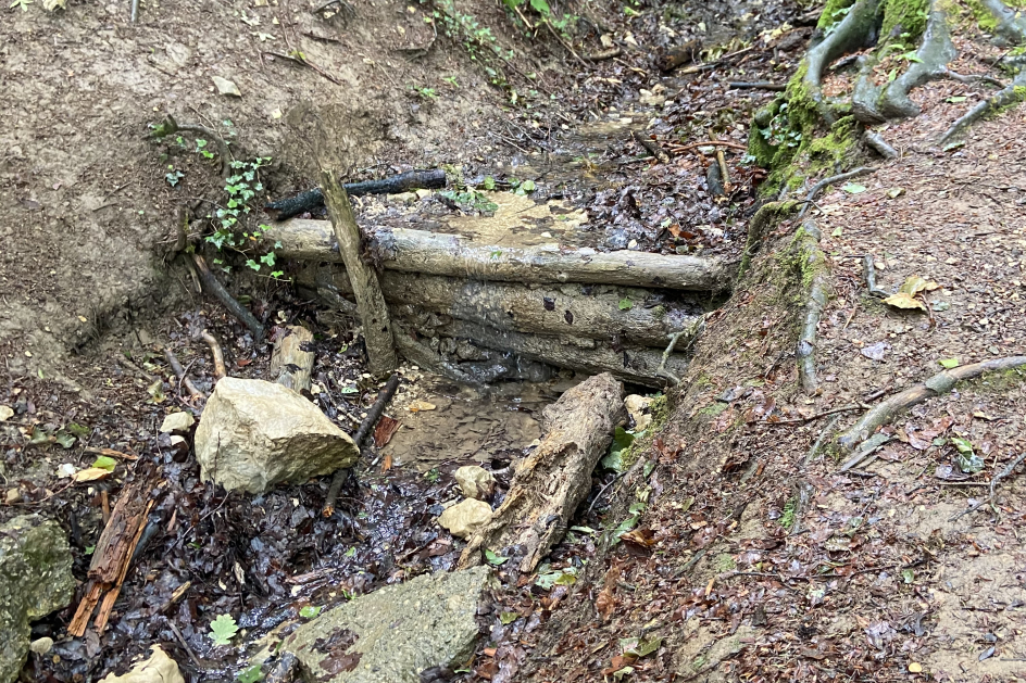 Holzschwellen beim Bannbach
