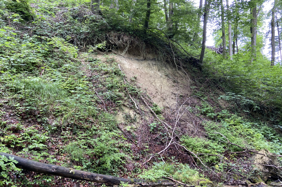 Bestehende Rutschung beim Mettlenbach, welche beobachtet werden muss.