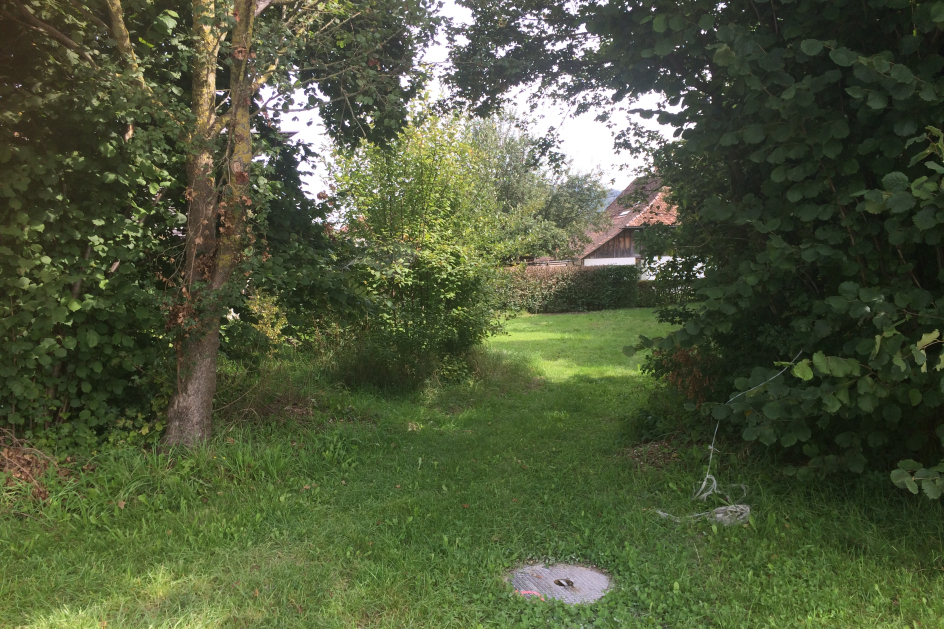 Fläche vor dem Bau des Parkplatzes (Blickrichtung Zufahrt)