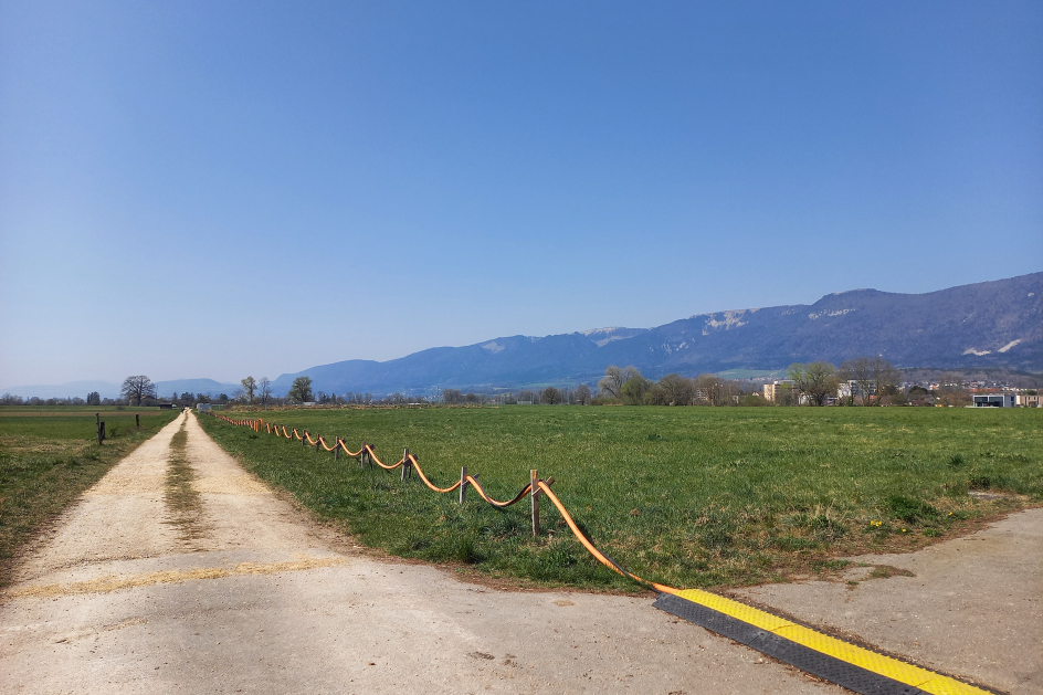 Blick auf Deponie Spitelfeld und Libellenweg