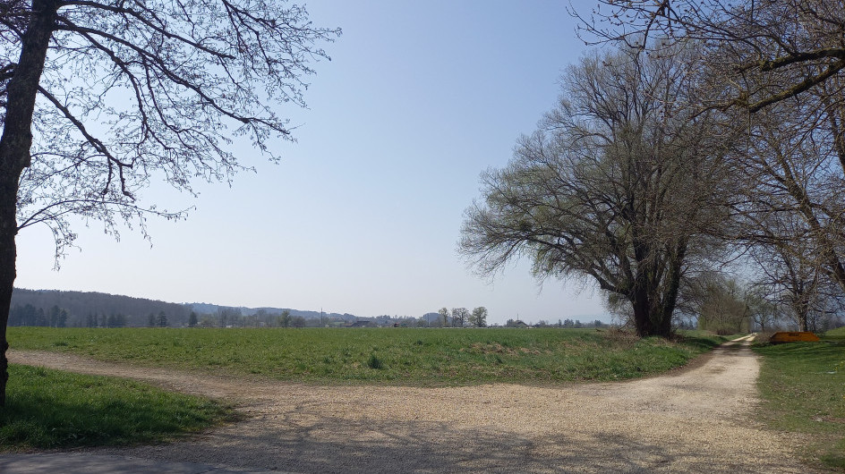 Blick auf Deponie Spitelfeld und Guggerhofstrasse mit Gehölz