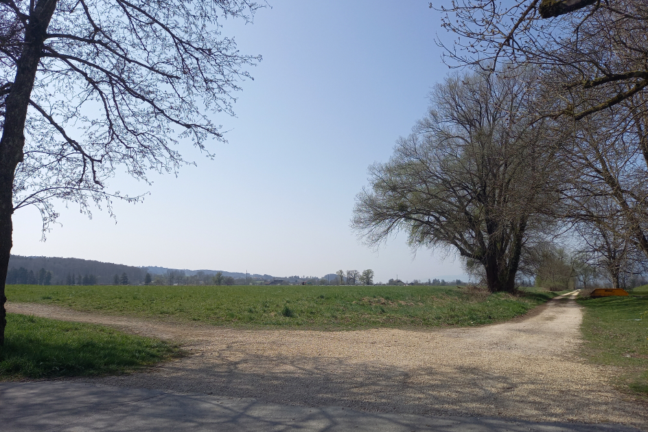 Blick auf Deponie Spitelfeld und Guggerhofstrasse mit Gehölz