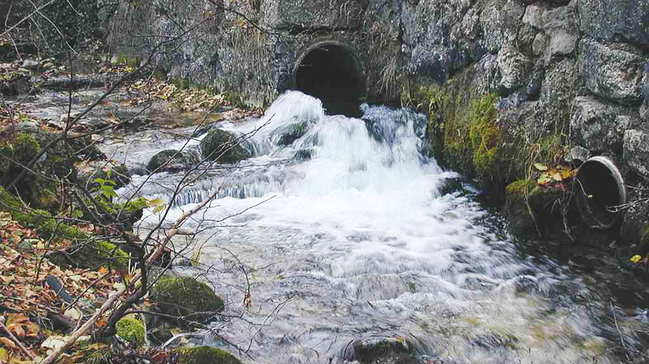 Wildbach