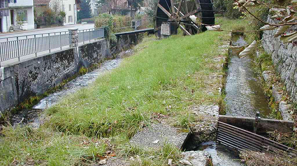 Wildbach