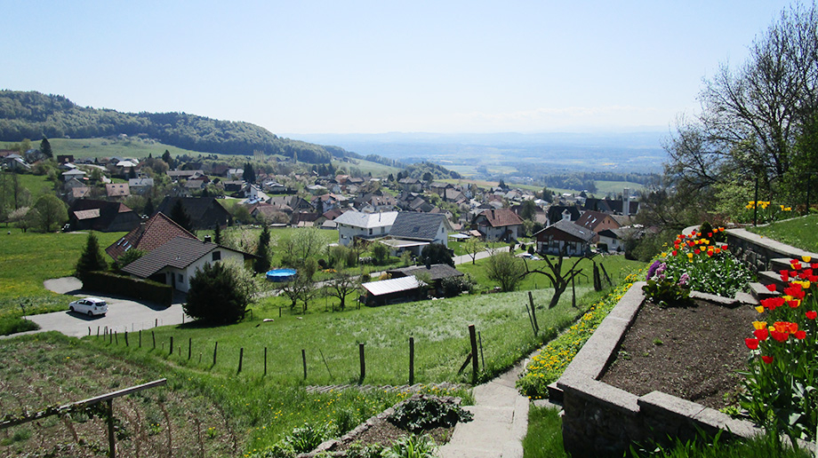Günsberg
