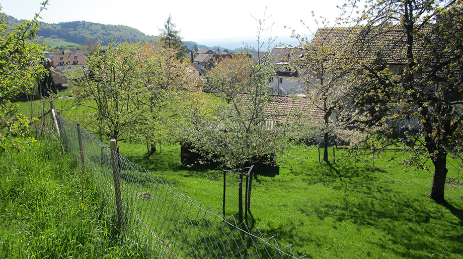 Günsberg